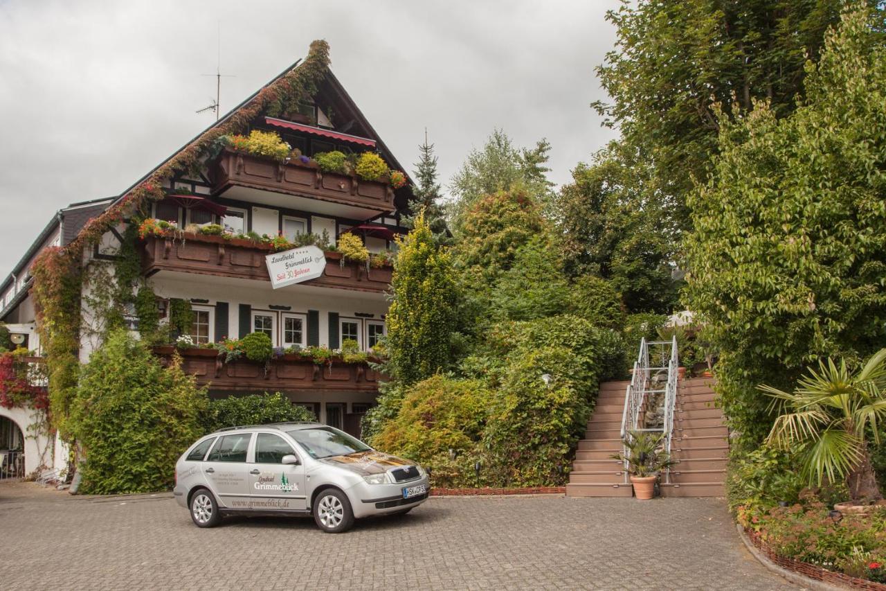 Landhotel Grimmeblick Winterberg Zewnętrze zdjęcie